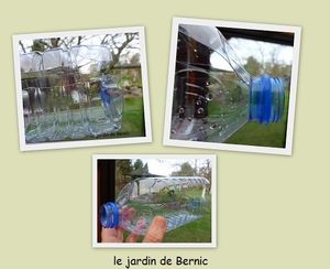 Astuce pour semis