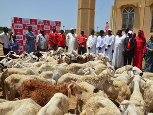 Aid el Kebir: Airtel Tchad offre des moutons pour l’Aïd aux fidèles musulmans