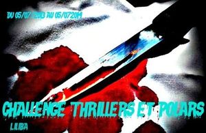 Challenge Thrillers-Polars chez Liliba
