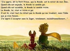 Tu apprendras la vie...