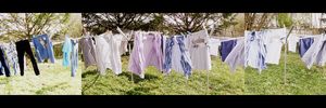 le printemps "était là" .....
