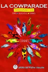 cannes cow parade cowparade transhumance 2015 photo picture