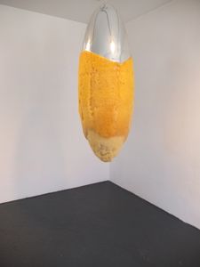 Beauté mellifère au Mudac