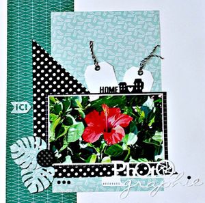 scrap / programme d'automne