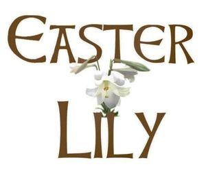 Musique irlandaise Easter lily le 20 février 2016 à Champcevinel