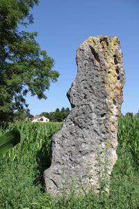 L’énigme du menhir du Suran