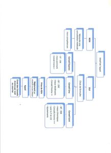 Consultation d'aromathérapie familiale en ligne