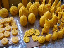 Das Wahlfach Bienenkunde am Maristengymnasium /.../ L'apiculture à Fürstenzell /.../ Bee-keeping in Fürstenzell