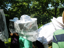 Das Wahlfach Bienenkunde am Maristengymnasium /.../ L'apiculture à Fürstenzell /.../ Bee-keeping in Fürstenzell