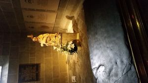 MEA/La Neylière 2015