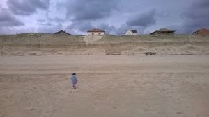 Une semaine sur une plage Landaise