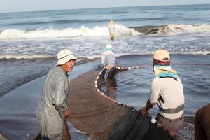 Krizo en Gaza sektoro