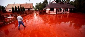 Tutmondo : la krimoj kontraŭ la naturo estas krimoj kontraŭ Paco kaj Homaro