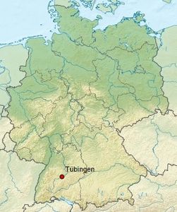 Germanio : silenta rondo en Tubingeno, por savi simiojn el trepanado