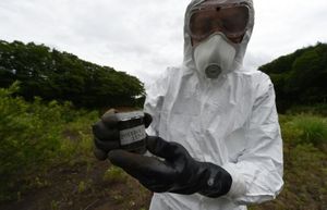 Foto : Nuklea spertulo de Greenpeace, Jan Vande Putte kolektas terspecimenojn en la vilaĝo Litato, kiu estis submetita al la radioaktiva nubo de Fukuŝimo. © AFP TOSHIFUMI KITAMURA
