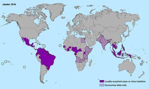 Zika viruso : pesticido suspektita pri kazoj de mikrocefalio ĉe la suĉinfanoj