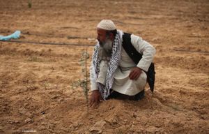 Israelo : miloj da Israelaj araboj memorfestas la « Tagon de la Tero »