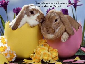 Joyeuses Pâques !