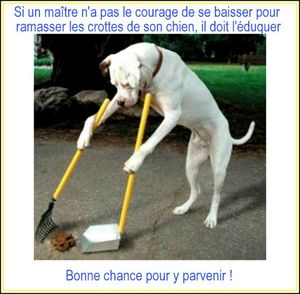 Béziers : crotte alors !
