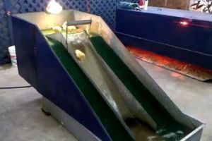 CETTE FOIRE ORGANISE UNE PECHE AUX ...VRAIS CANARDS