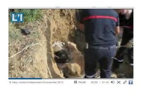 UNE CHIENNE COINCEE UNE NUIT ENTIERE DANS UNE BUSE
