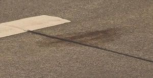 UN POLICIER ACHEVE ... AU PIED DE BICHE LE PAUVRE CHAT BLESSE PAR UNE VOITURE