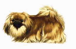 1 MOIS FERME POUR AVOIR TORTURE UN CHIEN