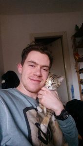UN CHAT FAIT UN VOYAGE DE 520 KM, COINCE SOUS LE CAPOT D'UNE VOITURE