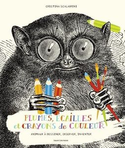 Plumes, écailles et crayons de couleurs.