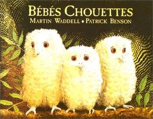 Bébés chouettes.