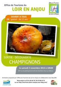 2 Nov : sortie champignons à Chambiers