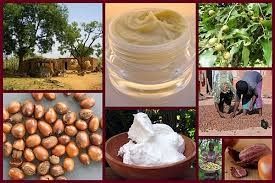 Transformation de Cajou et de Cacao/ Pose de la première pierre du complexe agro-industriel de Bonoua