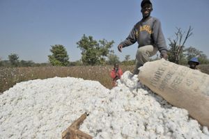 Zonage du bassin agro-industriel cotonnier ivoirien: Un axe stratégique d’amélioration des coûts logistiques, industriels et agricoles