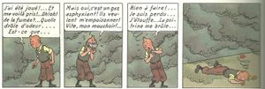 Tintin en Amérique : le retour I (Pour les enfants de 7 à 77ans*)