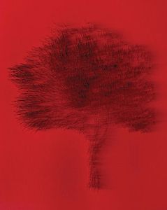 Prolongation de l'exposition "Shyamala" de Kirstie Mcleod à la galerie Maeght, Paris