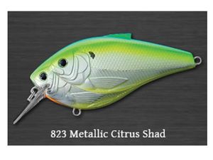 Treadfin Shad scarebill