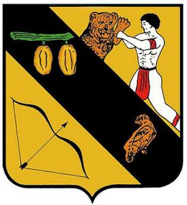 Saint Georges de l'Oyapock (97313)