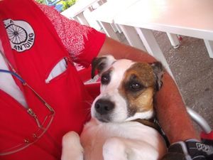 Zara retrouvée !