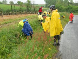 La randonnée de l'épine. (79)