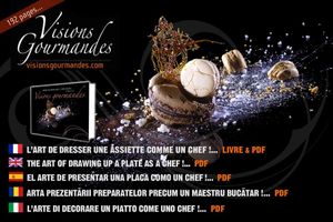 Le PDF du livre existe maintenant en ITALIEN !...
