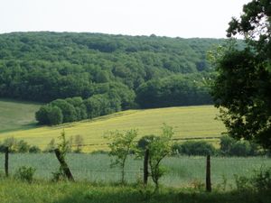 Deux ans déjà