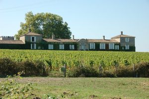 Sauternes : il suffit d'y mettre le prix