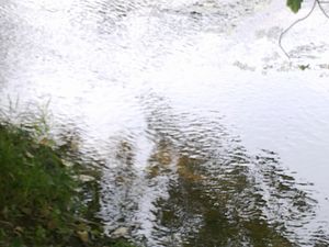 Pour les Les Poétes en Berry : Rivière et poésie