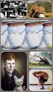 Revue de presse - Melting-pot... Jill Bill