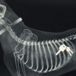 Poème scientifique. Margimond