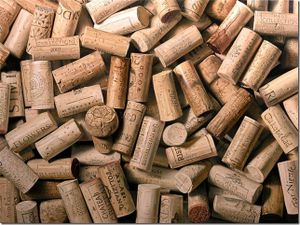 L'histoire du bouchon pour les Nuls. Vegas sur sarthe