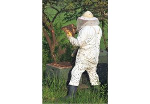 L’apiculture. Lilousoleil