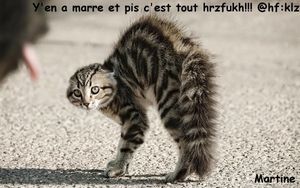 Voyance étude de caractère