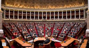 Les députés de gauche et écologistes responsables contre le déni de démocratie