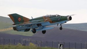 Un avion de chasse de type MIG 21 de l'armée roumaine, le 10 avril 2014 en Roumanie. L'Etat islamique aurait capturé des avions du même type en Syrie. (BOGDAN CRISTEL / REUTERS)